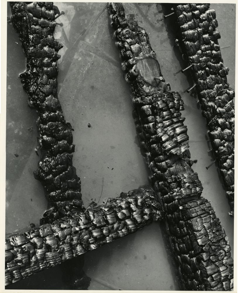 Click for larger image